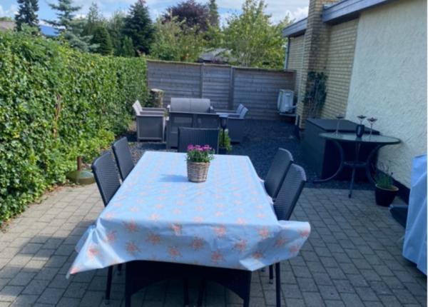 spitze-gelbe-ferienhaus-strand-100m