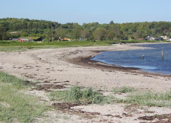 Spitze Ferienhaus Diernæs Strandby 