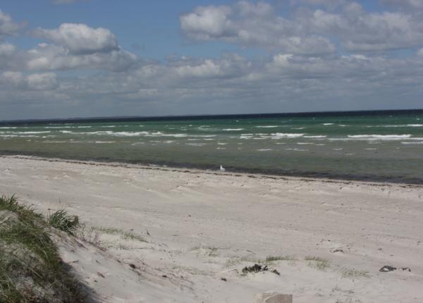 Spitze Traumferienhaus am Fjellerup Strand