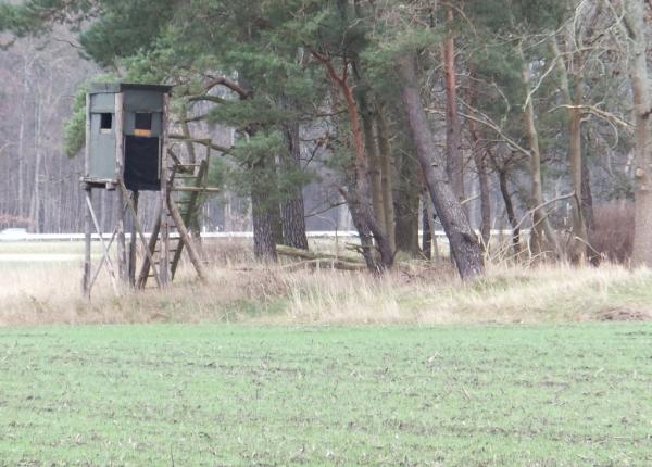 Jagt-udlejning-tyskland-Nassenheide