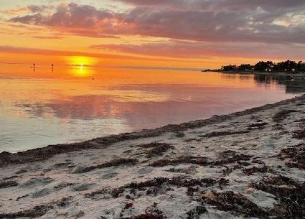 spitze-ferienhaus-fyn spitze-ferienhaus-fyn