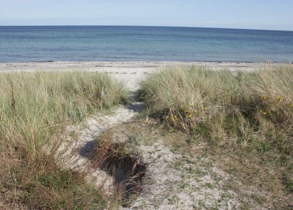 dk-spitze-strand-ferienhaus-am-strand
