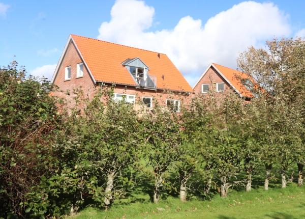 dk-spitze-am-riverside