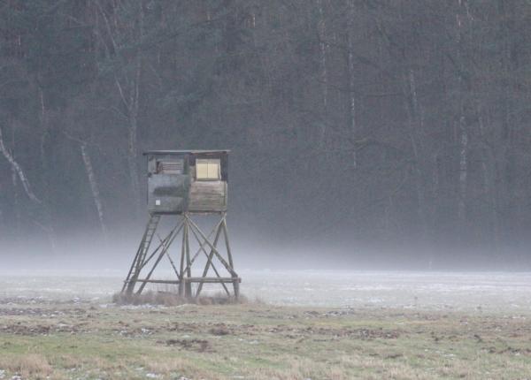 Jagt-udlejning-tyskland-Nassenheide