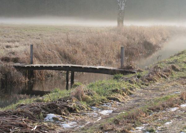 Jagt-udlejning-tyskland-Nassenheide