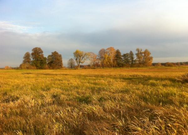 Jagt-udlejning-tyskland-Nassenheide